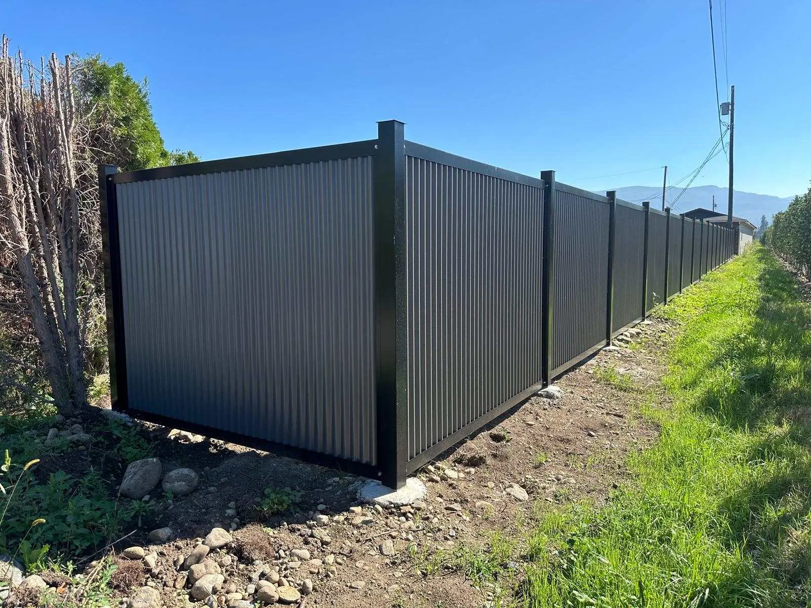 Colorbond fence